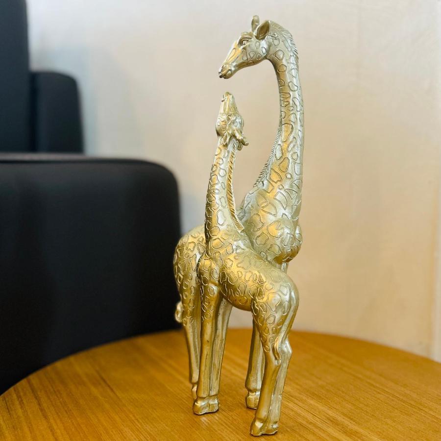 "Le Savanna" Magnifique T3 Montlucon Centre - Hopital - Parking Gratuit Exterior foto